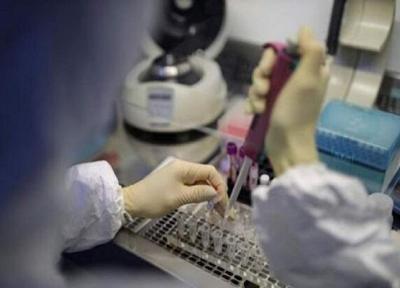 شناسایی ویروس های جهش یافته، استفاده اضطراری از واکسن های جدید
