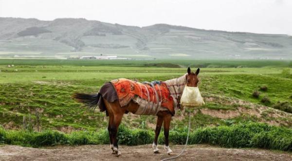 5 علت برای سفر به کلاله گلستان