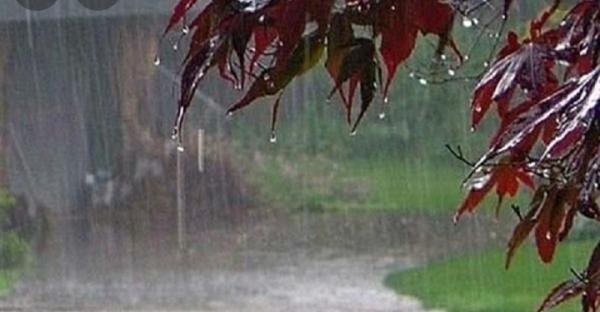 آماده باش مراکز درمانی برای اولین بارش باران آماده باش مراکز درمانی برای اولین بارش باران