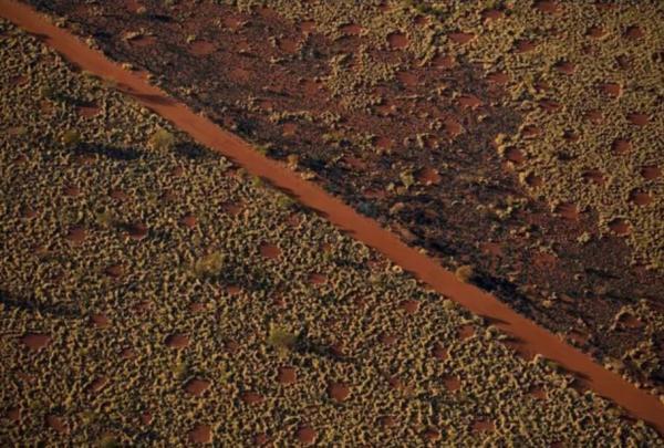 رازگشایی از دایره های جنی سرزمین بومیان استرالیا! ، عکس