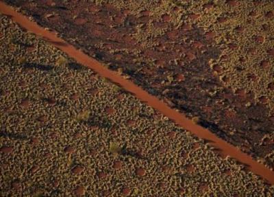 رازگشایی از دایره های جنی سرزمین بومیان استرالیا! ، عکس